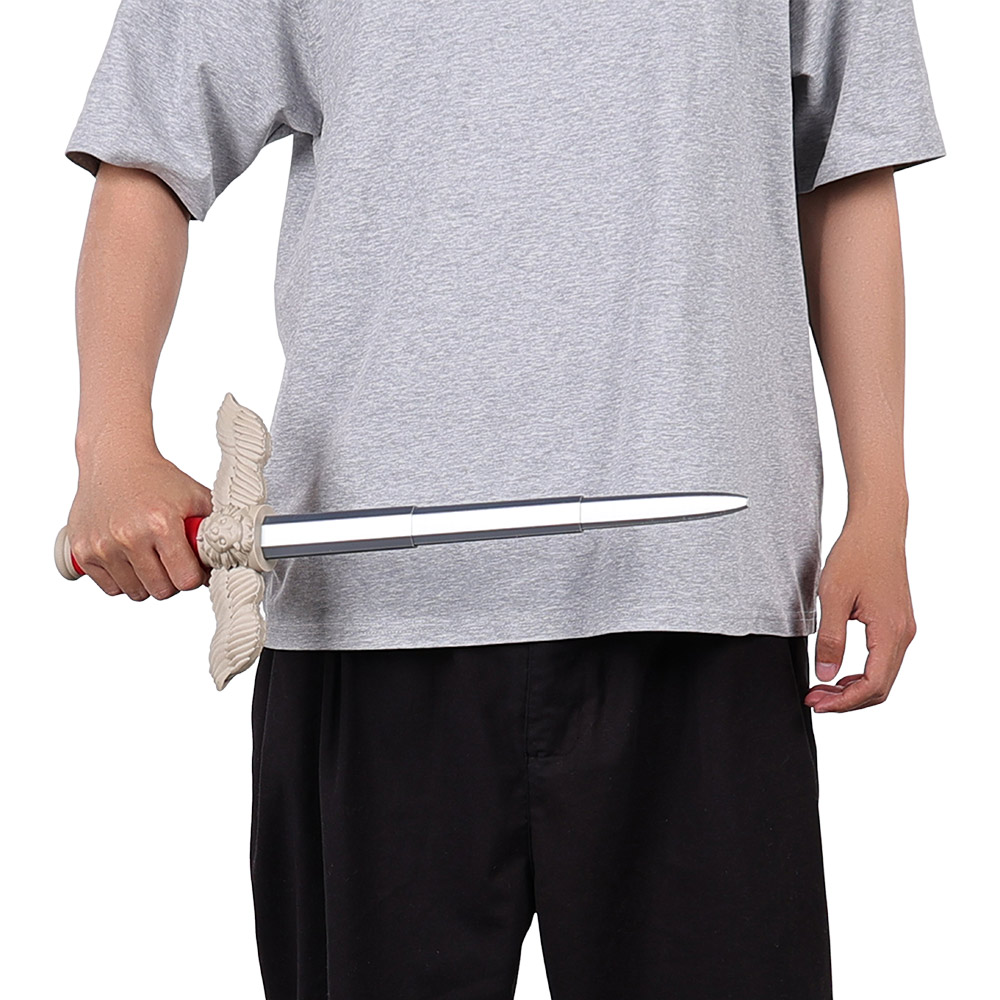 Disguise Laios Swords Ornament - Anime Cosplay Sword recension och pris